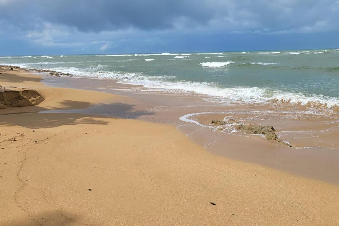 White Paradise Beach House Your Coastal Haven Lägenhet Vega Baja Exteriör bild