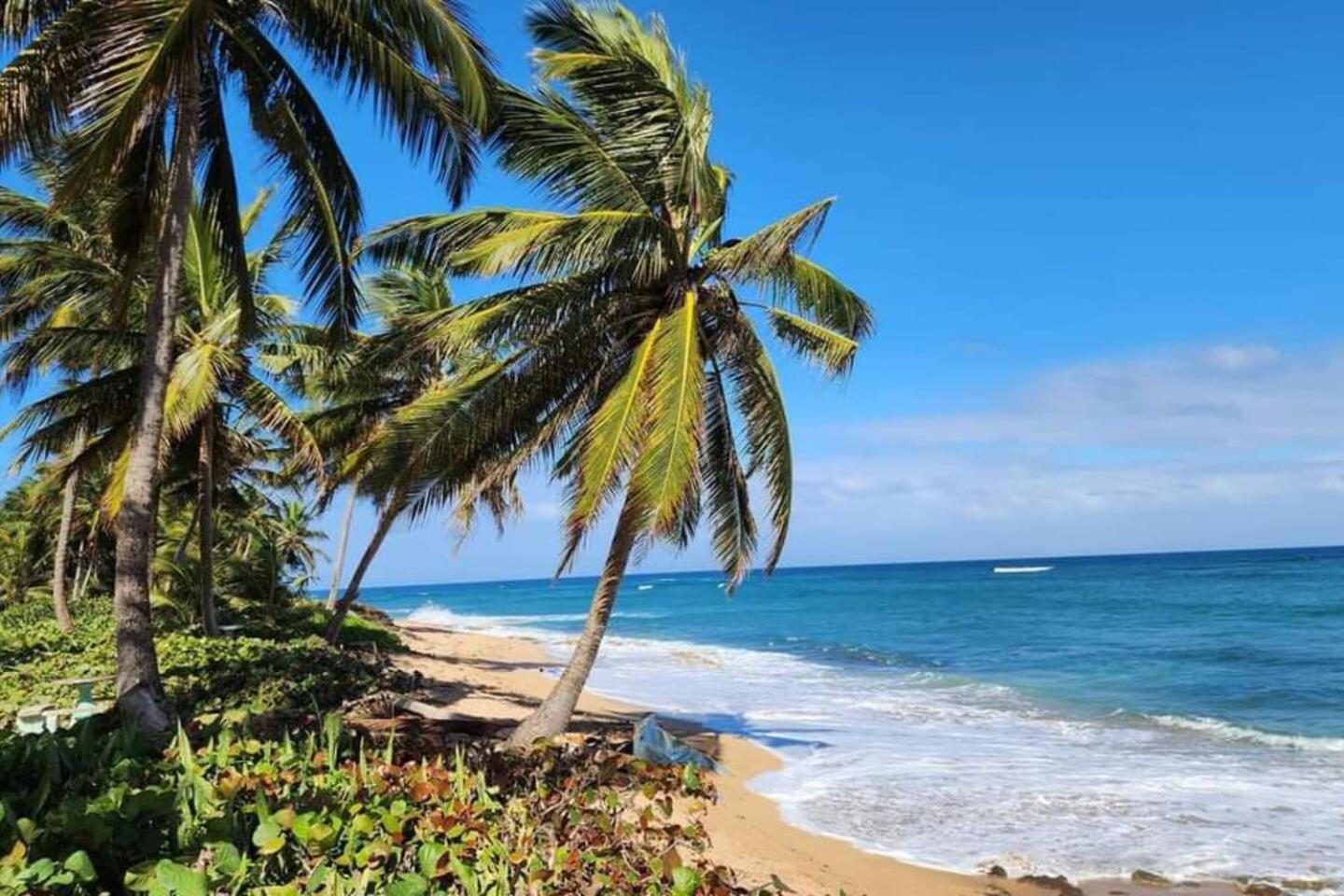 White Paradise Beach House Your Coastal Haven Lägenhet Vega Baja Exteriör bild